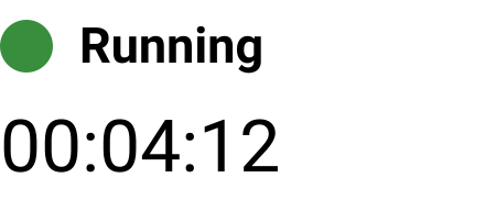 The server status: a green light, "Running", and an elapsed timer reading 00:04:12