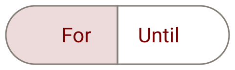 The For and Until toggle on the Server tab, with For selected
